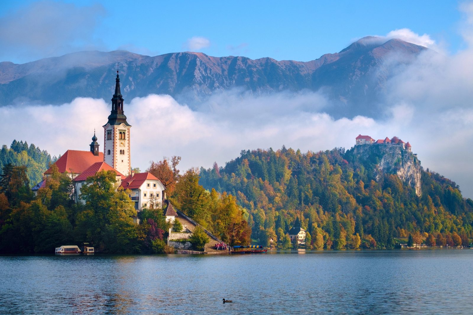 Iskala je ravno nekaj takšnega kot je apartma Bled za pravo sprostitev